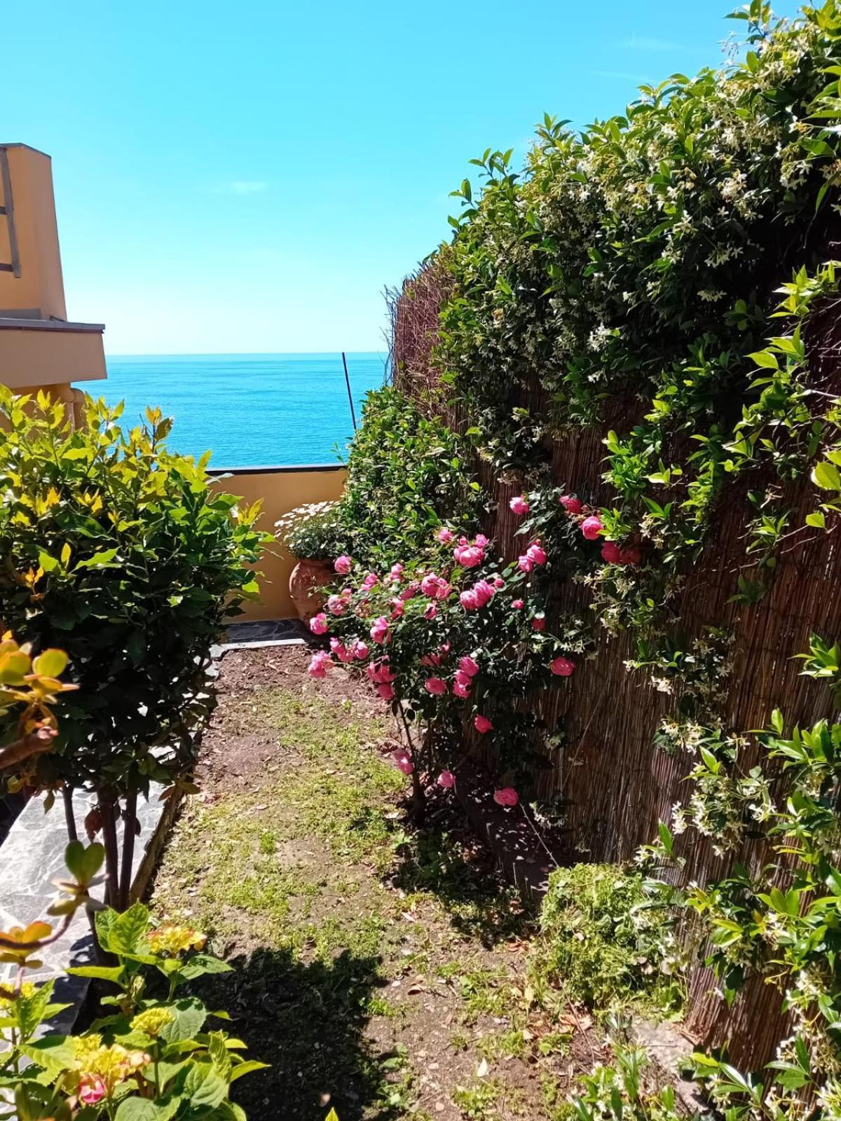 Raggio Di Luna Manarola Exterior foto